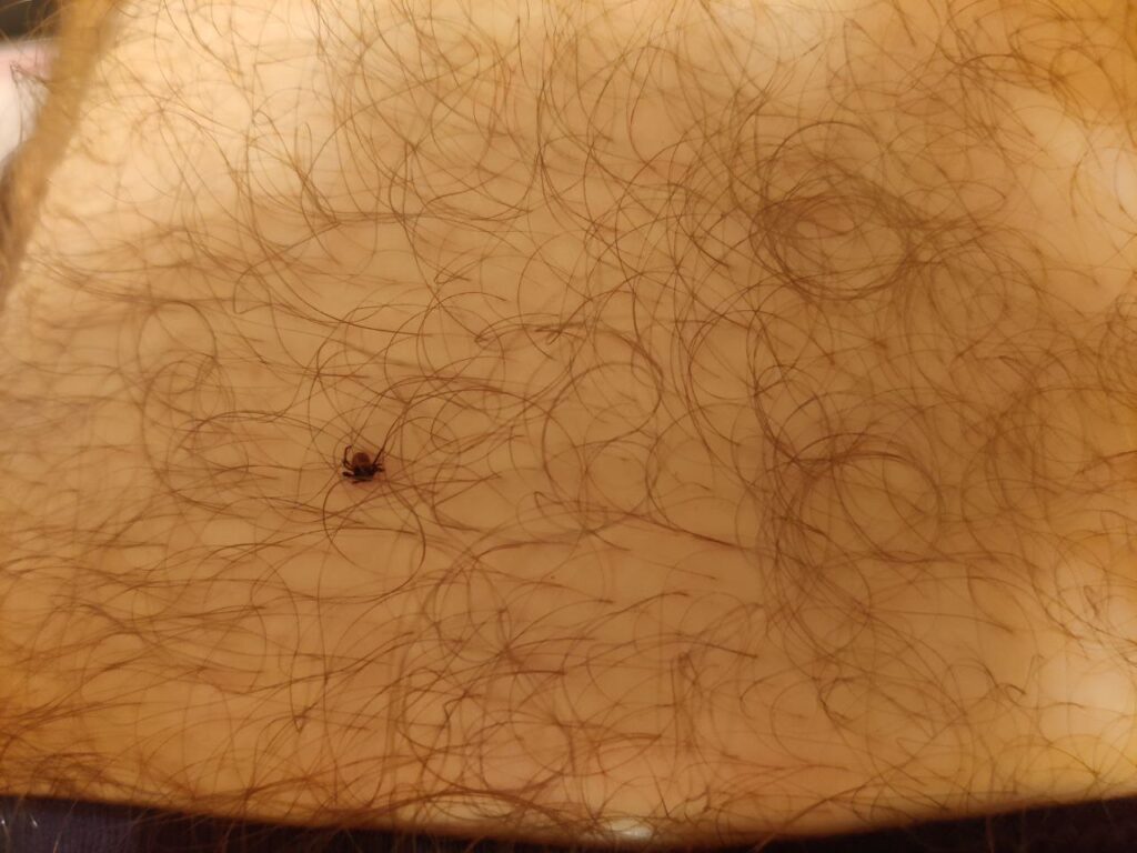 photo 2024 10 22 16 50 51